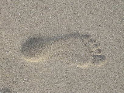 Camille Maitrejean - Hypnose / PNL / Réflexologie, Hypnothérapeute à Ollioules