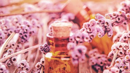 BAURAIND JOELLE, Réflexologue à Apprieu