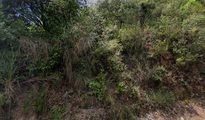 Magnetiseur mangot denis, Praticien de Médecine Alternative à Solliès-Toucas