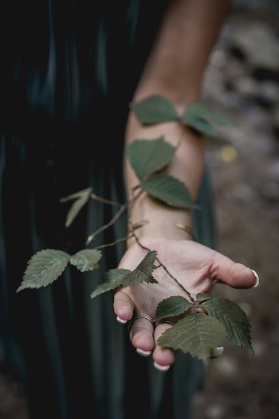Formation aux constellations familiales & périnatales - Laura Mateos, Hypnothérapeute à Wettolsheim