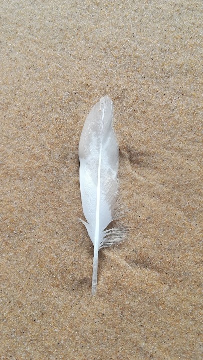 Médium - Magnétiseuse Passeuse D 'âmes CAROLE, Praticien de Médecine Alternative à Urrugne