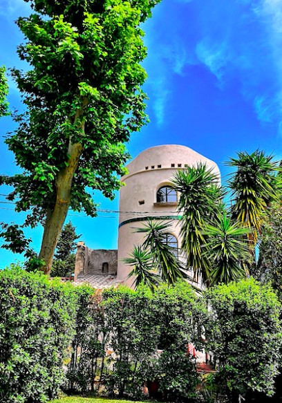 Claire Déprez - Naturopathe à Hyères, Paris, Saint Tropez et à distance - Méthode JMV, massages et médecine chinoise, Praticien de Médecine Alternative à Hyères