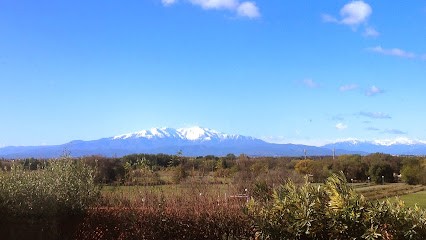 MAGNETISEUR COUPEUR DE FEU ACUPRESSURE AURICULOTHERAPIE MOSER HELENE, Praticien de Médecine Alternative à Saint-Nazaire