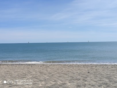 Lisa Maquin - Naturopathe, Praticien de Médecine Alternative à Chamalières
