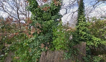 Le Reiki, Praticien de Médecine Alternative à Lorgues