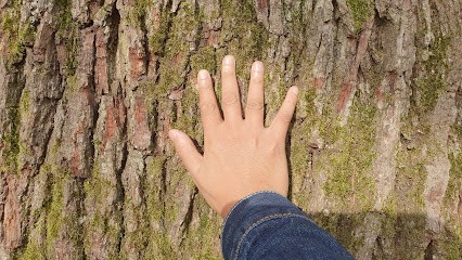Kim-Hak Thuok - Therapist Energy Company - Limeil-Brévannes, Praticien de Médecine Alternative à Limeil-Brévannes