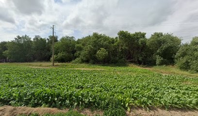 MANOHA, Réflexologue à Octeville-sur-Mer