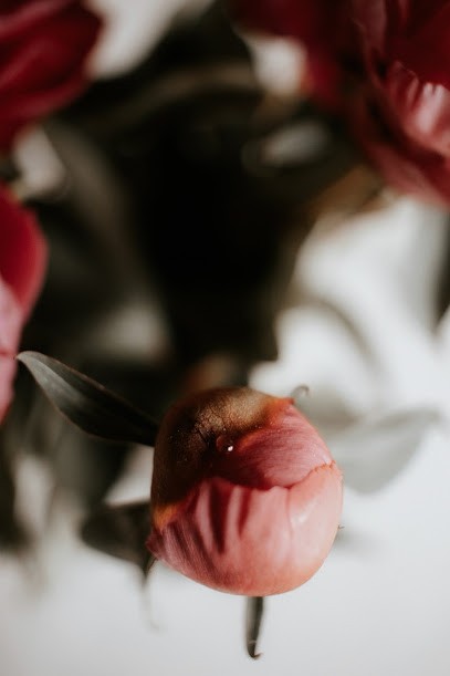 Gaëlle Beaupère Coach Holistique, Praticien de Médecine Alternative à Chevaline