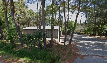 Camille Joly Réflexologie, Réflexologue à Locmariaquer