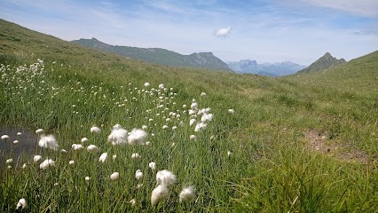Natur'audrey, Massage Bien-être Et Naturopathie, Aix-les-bains, Praticien de Médecine Alternative à La Biolle