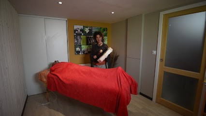 Fée de Vie - Soins énergétiques Coach holistique, Praticien de Médecine Alternative à Morlaix