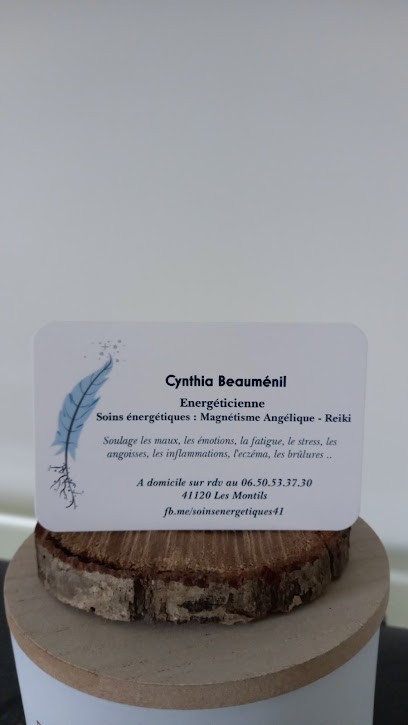 Cynthia Beauménil, Soins énergétiques , Cartomancie, Magnétisme, massage bien être reflexologie, Praticien de Médecine Alternative aux Montils