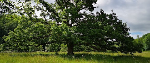 Grangette Anthony, Géobiologue, Nettoyage des lieux, Soin énergétique, Praticien de Médecine Alternative à Saint-Étienne-du-Bois