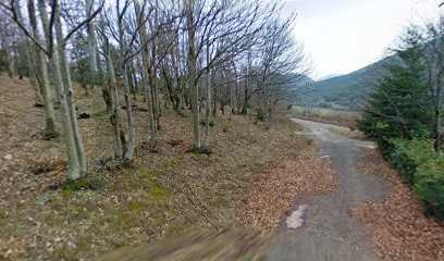 Pour Une Vie en Harmonie 2, Praticien de Médecine Alternative à Ferrières-Poussarou