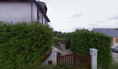 Julie Messier, Praticien de Médecine Alternative à Payns