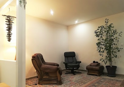 Hypnothérapeute Gilles Limonet, Hypnothérapeute à Joncy