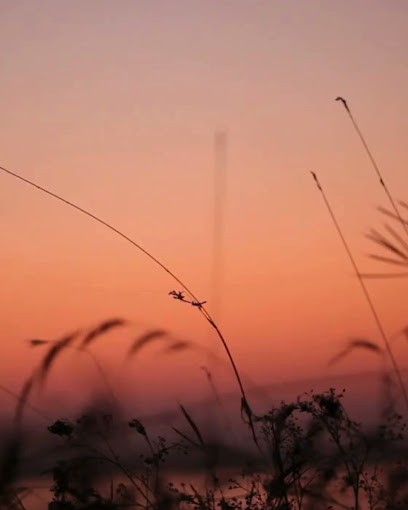Alexandra Thiebaut - Réflexologies et Shiatsu à Crac'h (56), Réflexologue à Locmariaquer