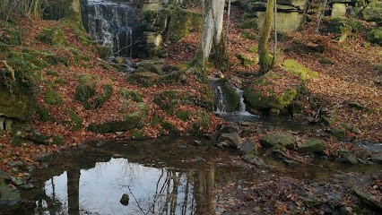 Gaillard Joëlle, Praticien de Médecine Alternative à Montchanin