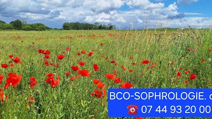 Bernard Carret-Ollivier, Praticien de Médecine Alternative à Charly