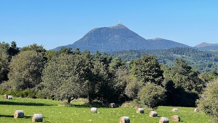 GIRAUD Olivia Micro Massage® Soulager Les Douleurs Et Le Stress En Douceur, Praticien de Médecine Alternative à Romagnat