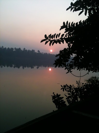 Ham Shala Ayurveda - Marteau Angelique, Praticien de Médecine Alternative à Ingré