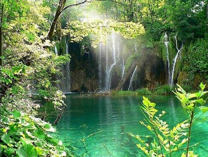 A. Pierdon Naturopathe, Praticien de Médecine Alternative à Carry-le-Rouet