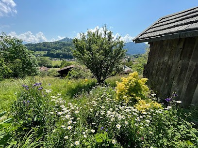 Cécile Ginguenaud Naturopathe - Réflexologue, Praticien de Médecine Alternative à Châtillon-sur-Cluses