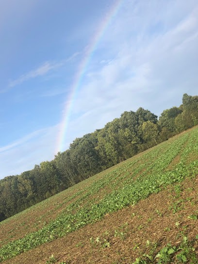 Manuel Bérénice, Hypnothérapeute aux Alluets-le-Roi