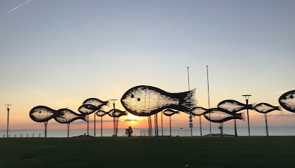 Soinbiose Magnetiseur, Barreur De Feu, Sophrologue, Praticien de Médecine Alternative à Villeneuve-Loubet