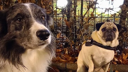 Détente Animal / La Naturo By DA, Praticien de Médecine Alternative à Montracol