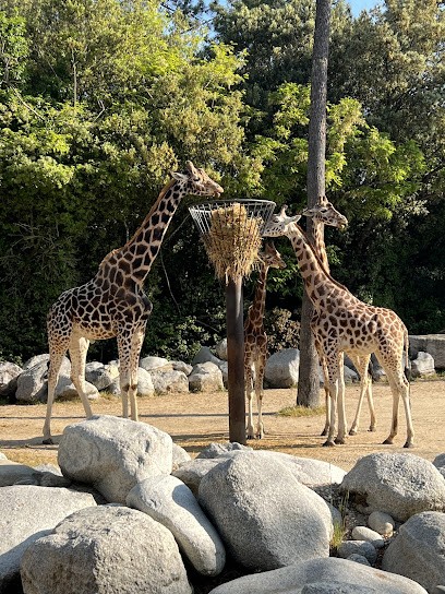 Angélique Arnoys - Hypnothérapeute & Coach en nutrition, Hypnothérapeute à Bernay