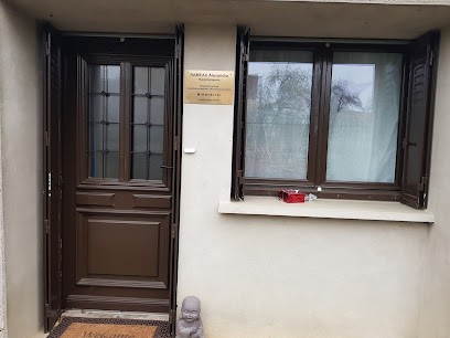 Alexandra RAMEAU Maître Praticien Certifié Who Ffhtb THERAPIE Par L'HYPNOSE, Les CONSTELLATIONS FAMILIALES , L'approche Systémique, Les Cartes Associatives à Visée Thérapeutique, L'Hypnose Régressive En Vies Antérieures, Hypnothérapeute à Vic-des-Prés