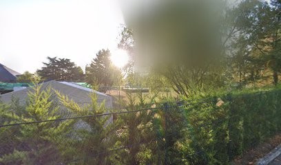 HYPNOTHERAPEUTE., Hypnothérapeute au Port-Marly