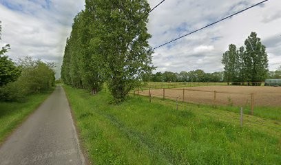 Naturopathe Bourg-en-Bresse - Nathalie T, Praticien de Médecine Alternative à Châtillon-sur-Chalaronne