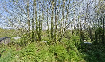 Le Guen Cécile, Praticien de Médecine Alternative à Plonéour-Lanvern