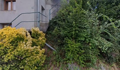 Orphée Jolet Naturopathe en Savoie/Isère, et Eco-Gîte à la campagne, Praticien de Médecine Alternative à Avressieux