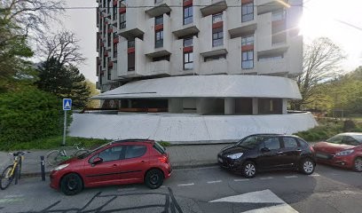 Dominique Garcin-Gerin NATUROPATHE, Praticien de Médecine Alternative à Grenoble