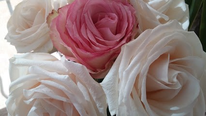 Véronique Hermand - Naturopathe et Réflexologue, Praticien de Médecine Alternative à Tavel