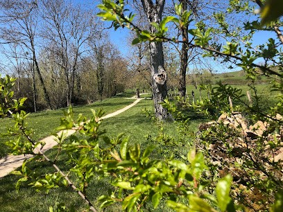 Justine Finelle - Sophrologue Caycédienne, Praticien de Médecine Alternative à Créancey