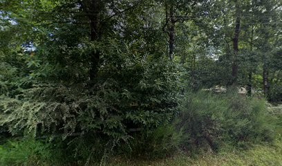 Oliviero Alain Joel, Praticien de Médecine Alternative à Sainte-Opportune-du-Bosc