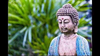 SYNERGIE VITALE, Praticien de Médecine Alternative à Saint-Estève