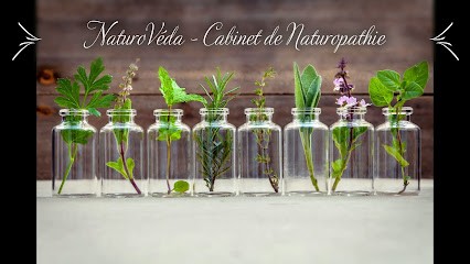 NaturoVéda - Naturopathe à Haguenau, Praticien de Médecine Alternative à Haguenau