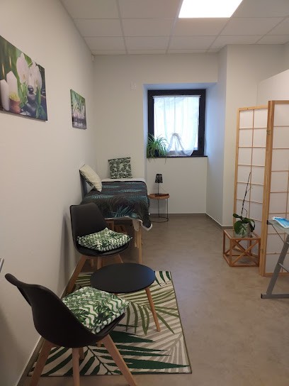 Sylvaine Mercier, Praticien de Médecine Alternative à Villenauxe-la-Grande