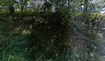 La RéCréation de l’Âme - Énergéticienne - Sophrologue - Cartomancienne - Soins aux bols chantants, Praticien de Médecine Alternative à Mont-Roc