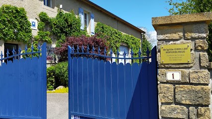 Brigitte Chollot Sophrologue, Praticien de Médecine Alternative à Étain