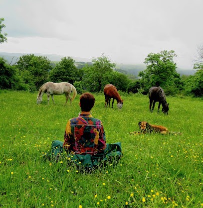 Léa Lebreton Energétique, Praticien de Médecine Alternative à Saint-Flour