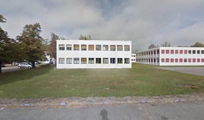 Samuel Chapelet - Thérapie Intuitive, TRM Allergies, Reiki, Praticien de Médecine Alternative à Meylan