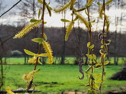 Julie Mullier La voie de l'éveil, Praticien de Médecine Alternative à Mont-Dol
