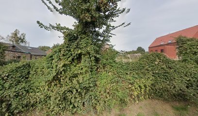 Christian Cogneaux Naturopathe à Domicile, Praticien de Médecine Alternative à Gussignies