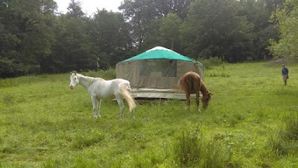 Marion Chapellier Santé humaniste Communication animale, Praticien de Médecine Alternative à Gentioux-Pigerolles